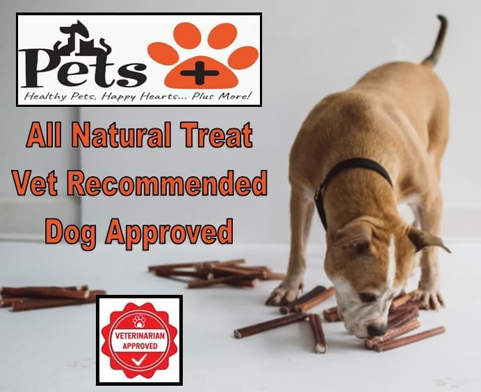 Pets Plus Premium Bart's Bully Sticks for Dogs – 6 Inch, Medium Size, All-Natural, Long-Lasting Chews for Moderate Chewers – High Protein, Low Odor, Grain-Free (10-Pack)