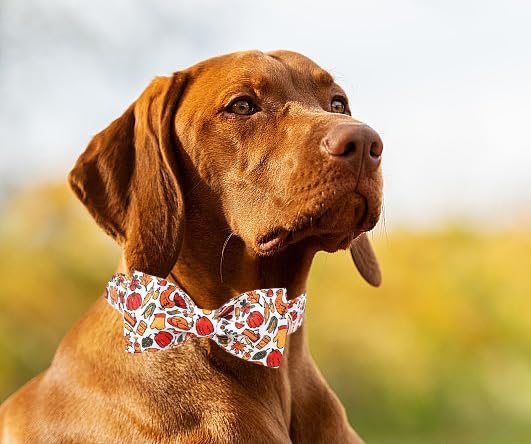 Lionet Paws Thanksgiving Dog Collar, Cute Fall Dog Collar for Medium Dogs, Adjustable Cotton Pet Collars for Small Medium Dogs