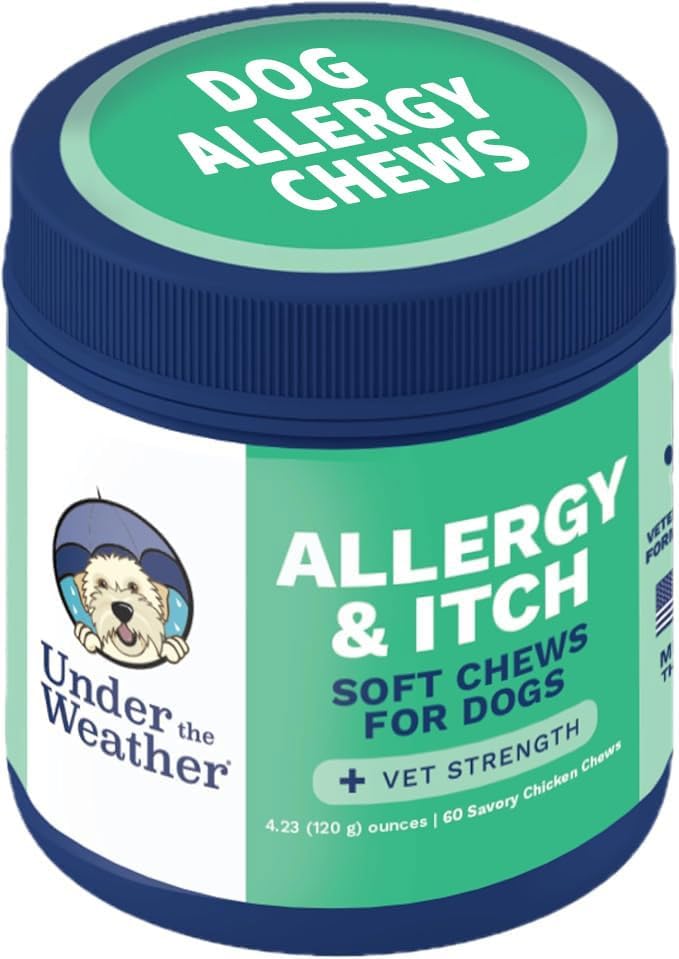 Under the Weather Allergy & Itch Pet Allergy Chews for Dogs | Vet Formulated Skin Support for Canines | Soothing Dog Allergies and Itching Relief Supplement | 60 Count