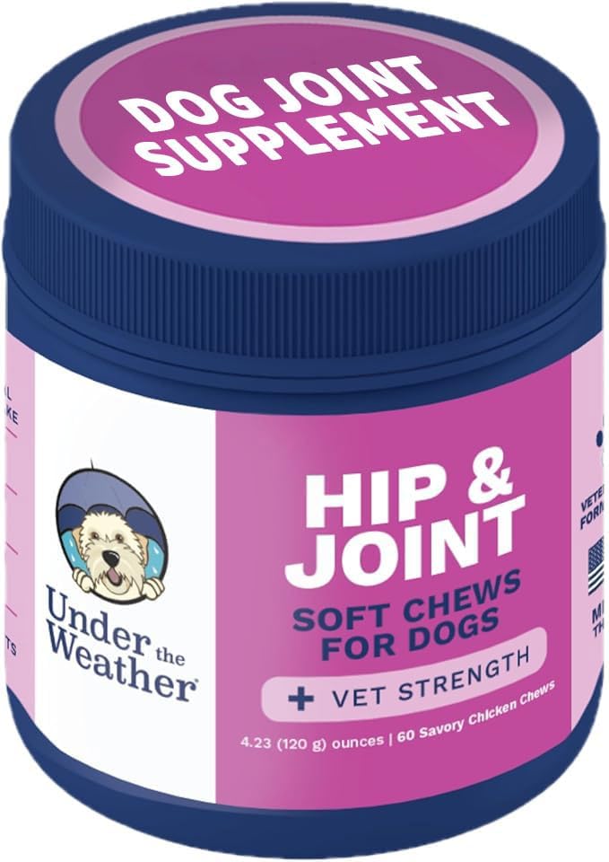 Under the Weather Pet Hip & Joint Chews for Dogs | Vet Formulated Dog Joint and Hip Supplement | Daily Chews with Chondroitin & MSM for Mobility & Flexibility Support | 60 Count