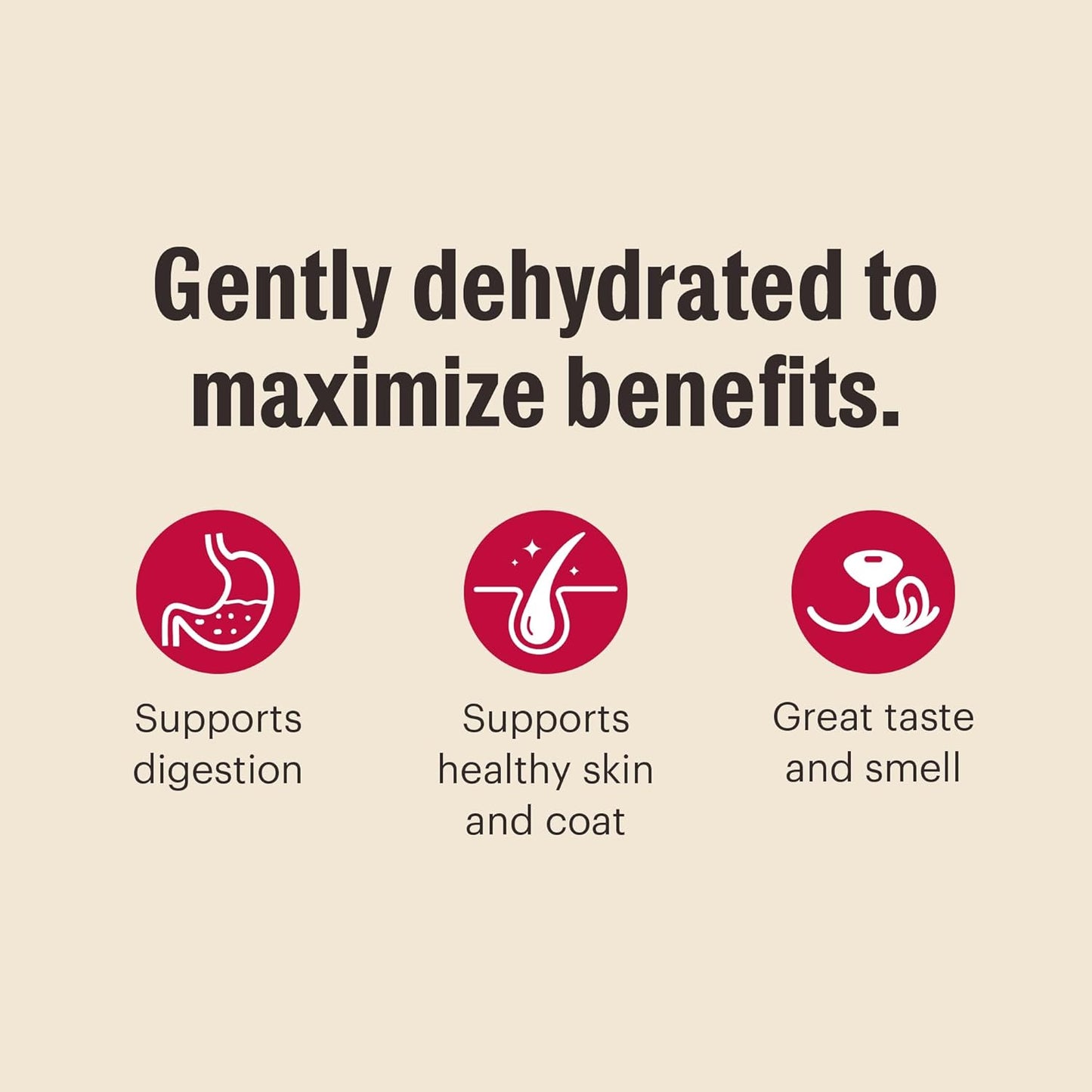 The Honest Kitchen Wholemade™ Grain Free Chicken Dog Food, 2 lb Bag