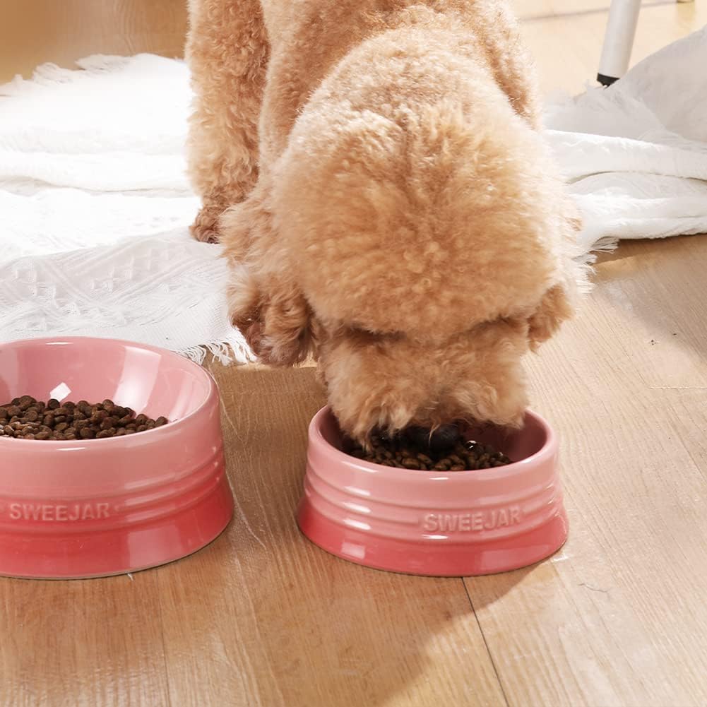 Sweejar Gradient Dog Bowl, Ceramic Dog Food Dish for Medium Dogs and Cat, Porcelain Pet Bowl for Food and Water 18 oz (Gradient Pink)