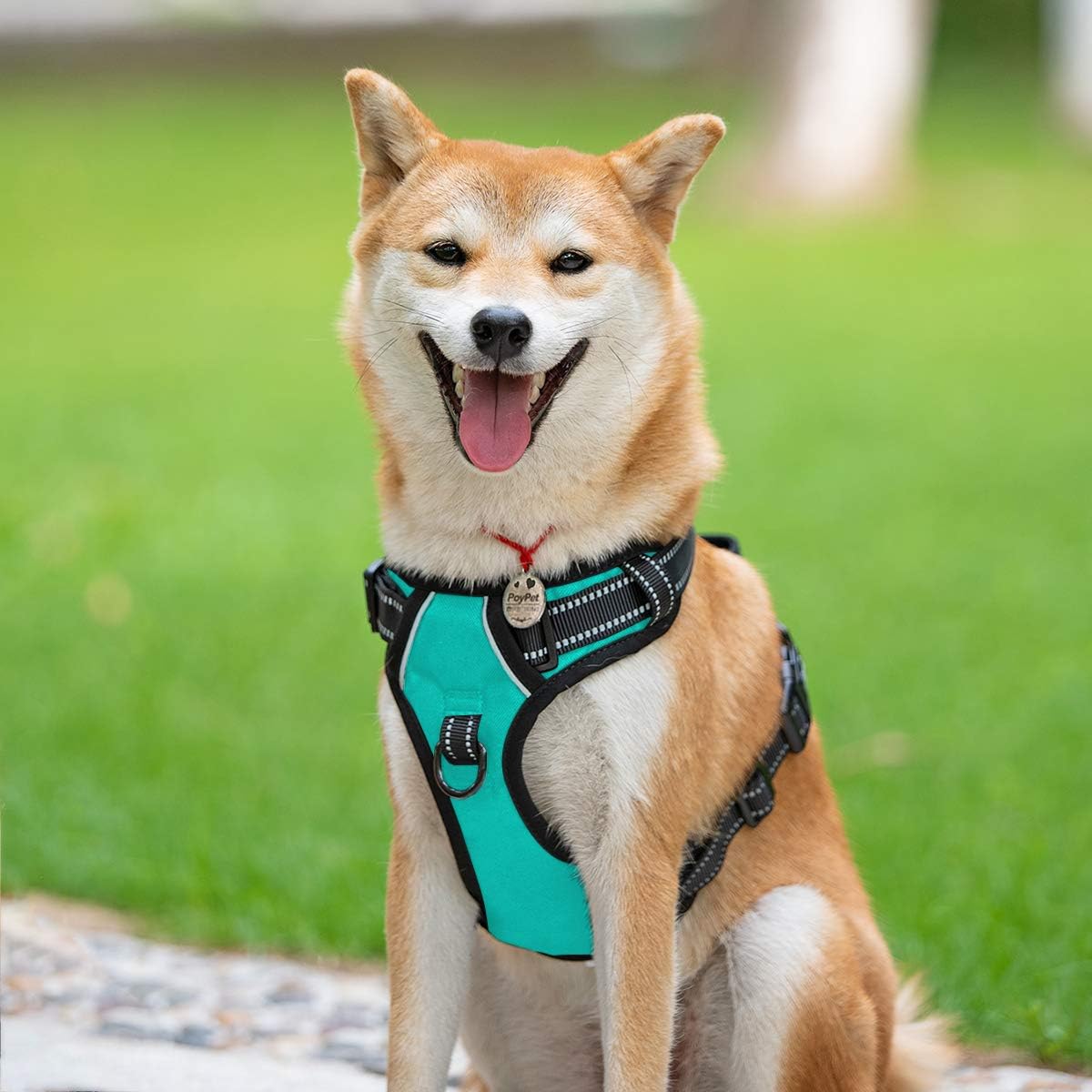 PoyPet No Pull Dog Harness, Reflective Comfortable Vest Harness with Front & Back 2 Leash Attachments and Easy Control Handle Adjustable Soft Padded Pet Vest for Small to Large Dogs (Mint Blue,XS)