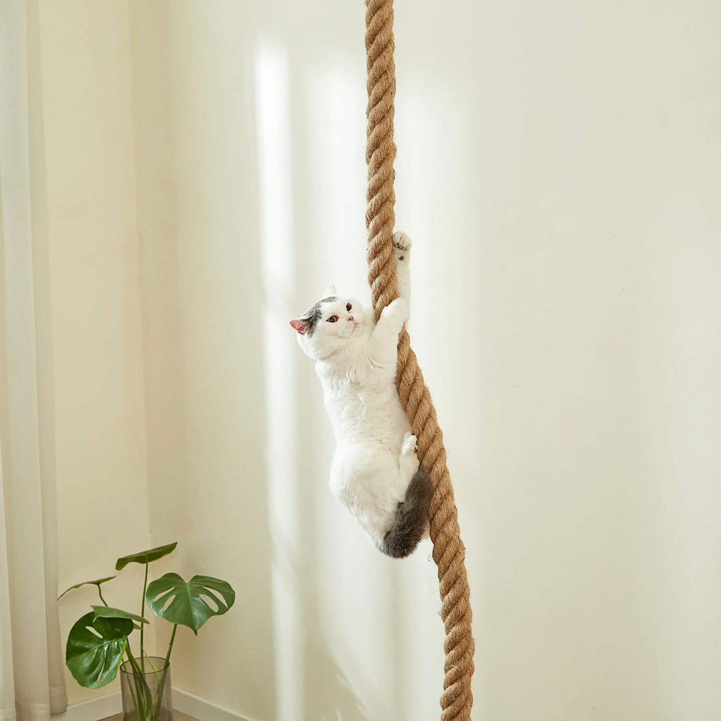 SHENGOCASE 1.9" x 8.9Ft Cat Climbing Jute Rope for Ceiling with Hook, Wall Mounted Furniture for Indoor and Outdoor Cats, Cimbing Pole (8.9 Feet)