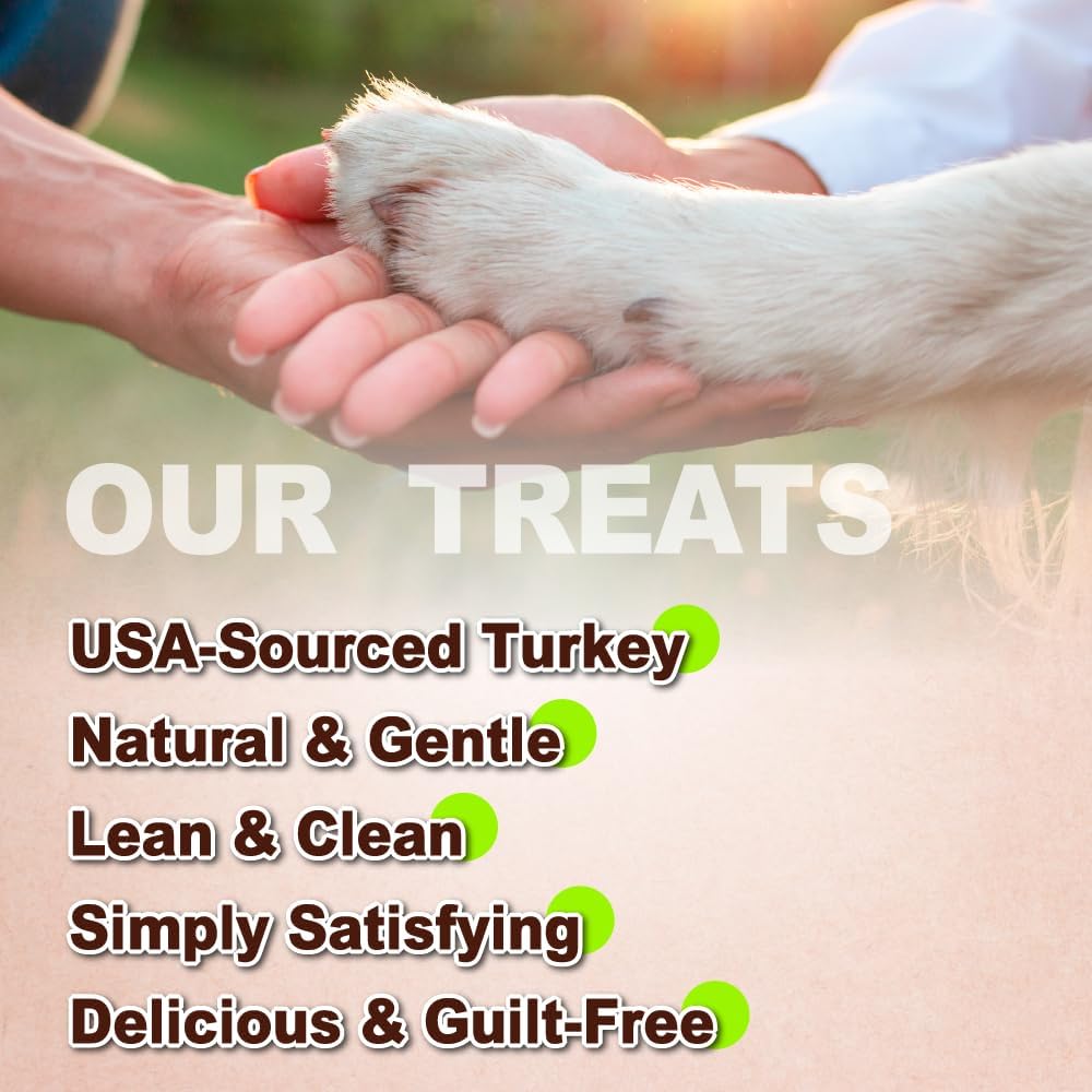 AFreschi Turkey Tendons for Dogs, USA-Sourced, Healthy Dog Treats, Rawhide-Free Puppy Chews, All Natural, Hypoallergenic Dog Treats, Classic Series, Soft Strips with Pumpkin, 3.5 oz Pack