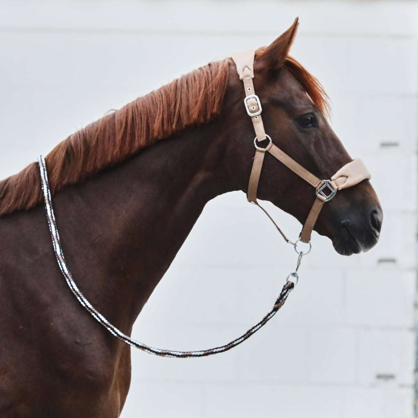HORZE Kiel Adjustable Horse Halter with Fleece Padding - Tan - Cob