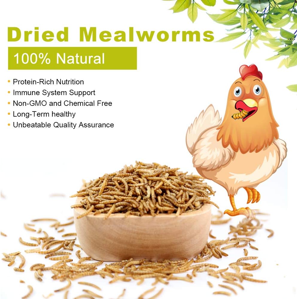 Bulk Dried Mealworms, High-Protein Dried Mealworms 44Lbs, 100% Non-GMO Mealworm Treats for Birds, Chickens, Turtles, Fish, Hamsters and Hedgehogs All Natural Animal Feed