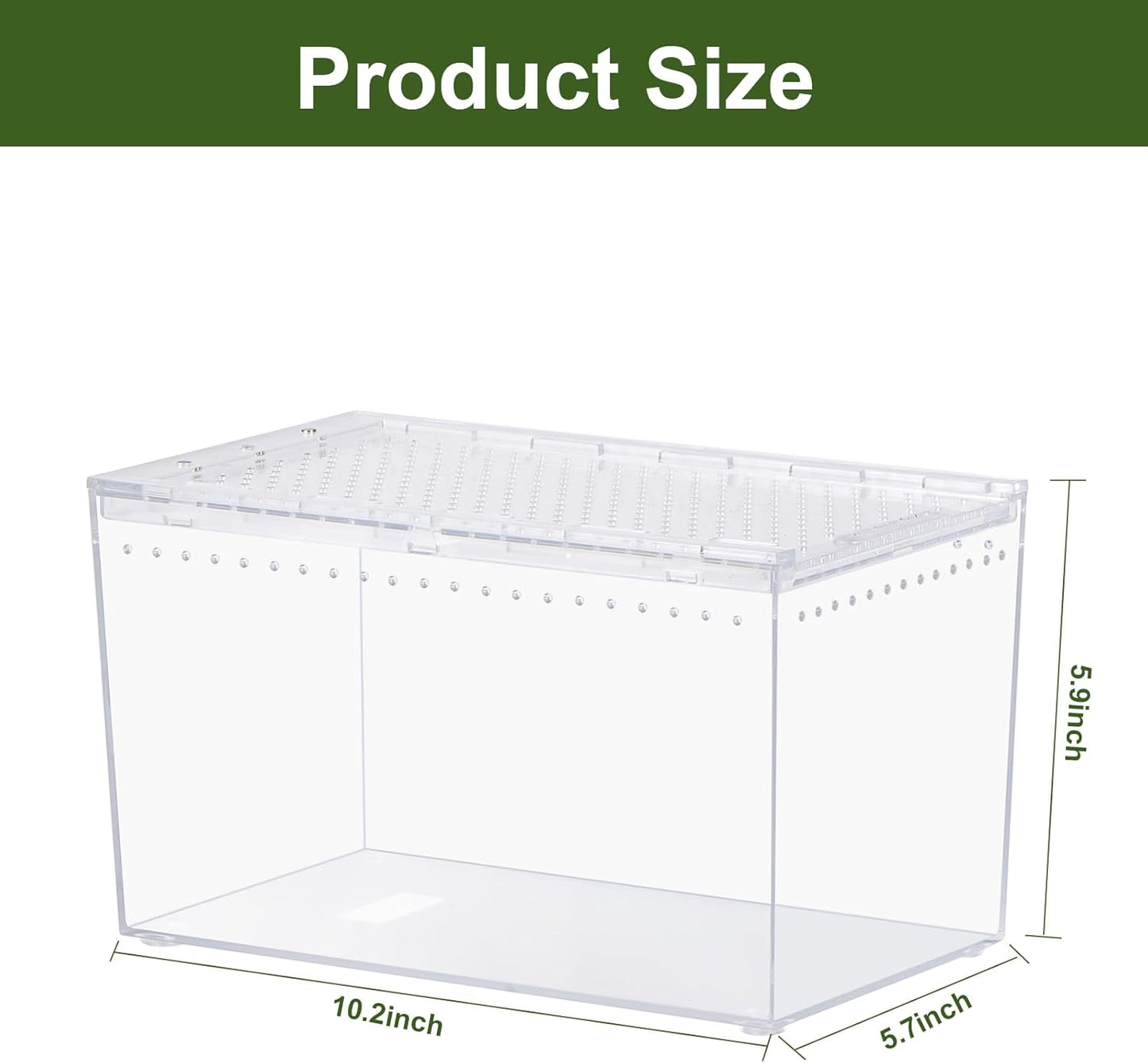 Reptile PC Terrarium 10.2" x 5.9" x 5.7" Full View Reptile Aquarium Tank Starter Kit for Insect Plant Gecko Spider Habitat Amphibians Enclosure with Hide Cave Feeding Bowl