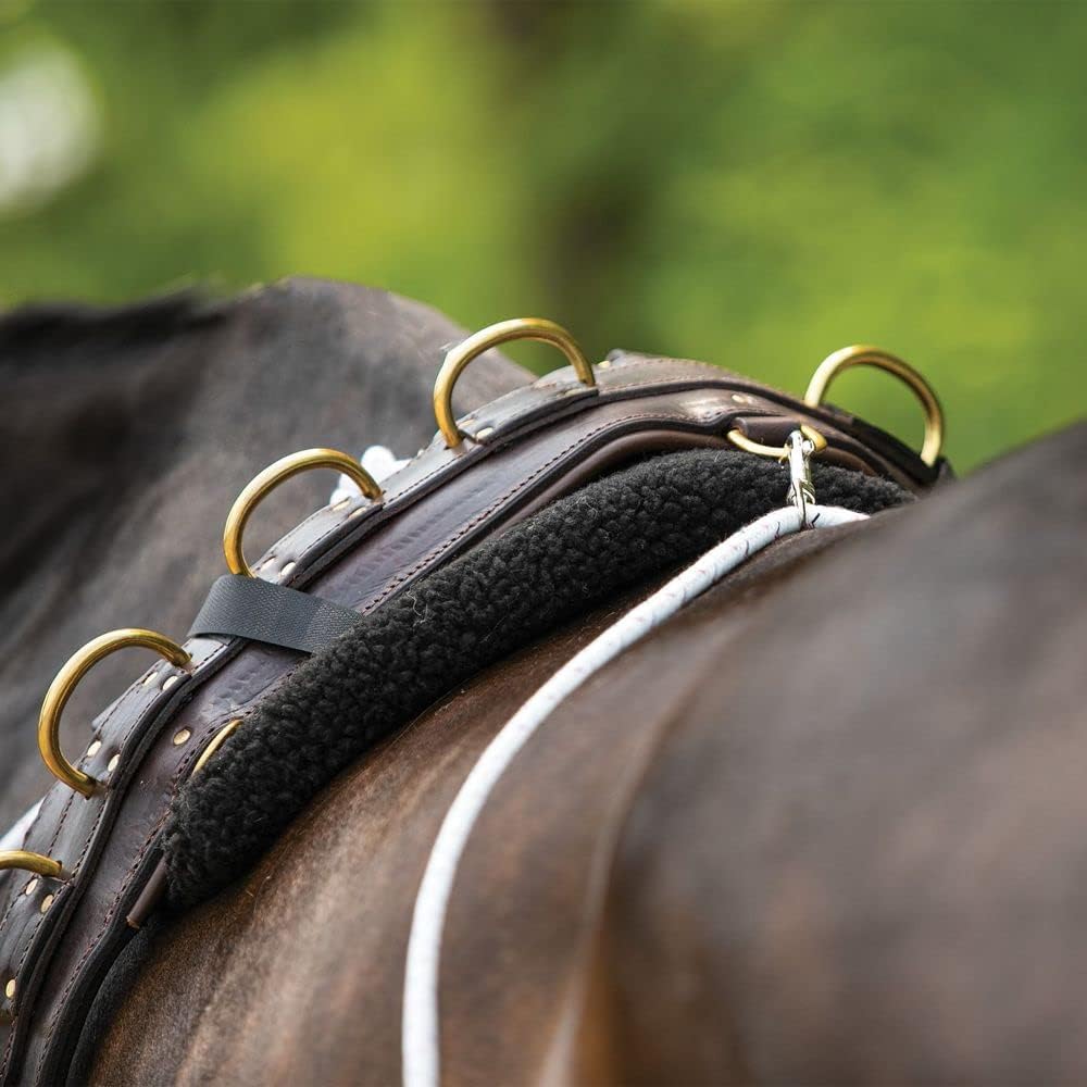 Advanced European Training System | Advanced Training Tool | Enhances Horse Carriage and Headset | Encourages Forward Movement | Strengthens Key Muscles | Not for Beginners