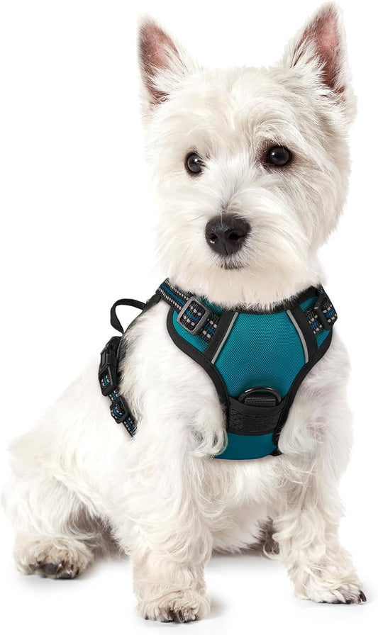 rabbitgoo Dog Harness No Pull with 2 Leash Clips, Adjustable Soft Padded, Reflective Oxford No Choke Pet Vest with Easy Control Handle for Puppy, Blue Coral, XS
