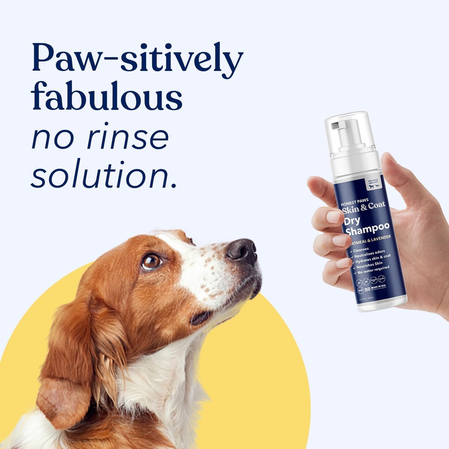 Honest Paws Dog Dry Shampoo - Waterless No Rinse Foaming Formula Reducing Itch Cleanse Hydrate Nourish Dry Skin and Smelly Coat Help Decrease Odor Shedding and Allergies - Oatmeal & Lavender - 6.3 oz