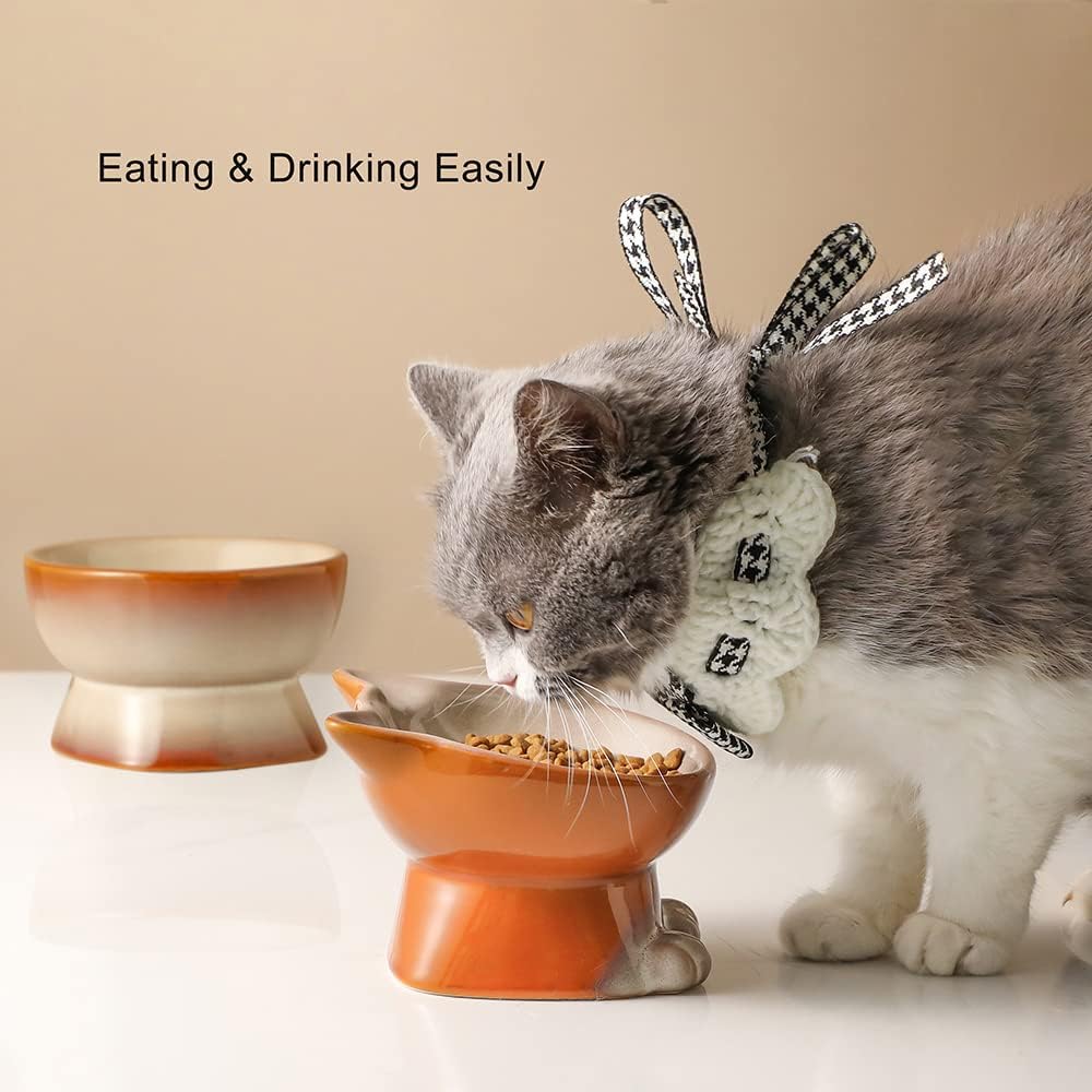 Nihow Elevated Cat/Dog Bowls Set : 5 Inch Ceramic Raised Cat Food & Water Bowl Set for Protecting Pet's Spine - Feeding & Watering Supplies for Pets - Elegant Brown (2 PC)