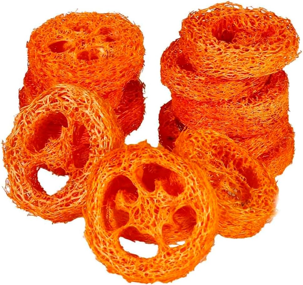15 Pcs Fruit Flavored Loofah Slices Rabbit Chew Toys Guinea Pig Chew Toys Small Pet Chews Bunny Toys for Teeth Rabbit Toys