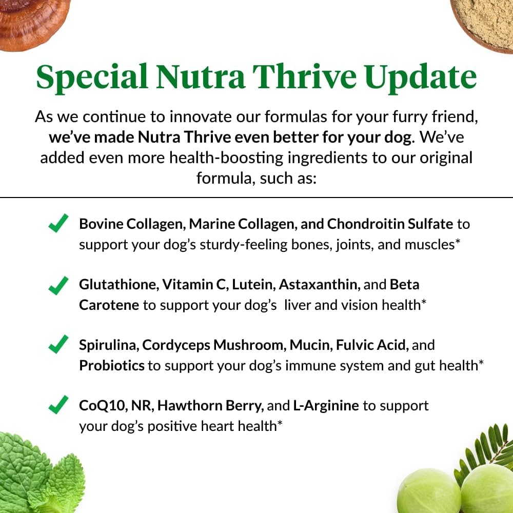 Ultimate Pet Nutrition Nutra Thrive Canine, 40-in-1 Nutritional Powder Supplement for Dogs with Digestion and Immune Support, Vitamins, Minerals, Probiotics, Enzymes, 30 Scoops