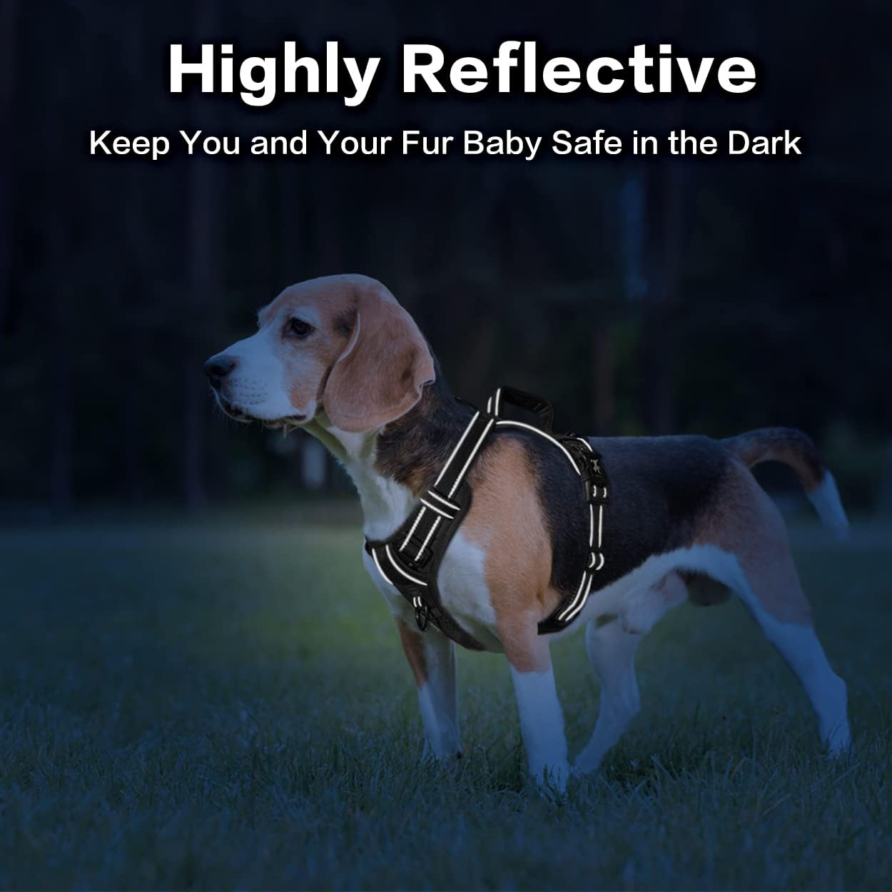 PoyPet No Pull Dog Harness, No Choke Front Clip Reflective Dog Vest with Soft Padded Vertical Handle, 3 Leash Attachments for Small Medium Large Dogs (Black,XL)