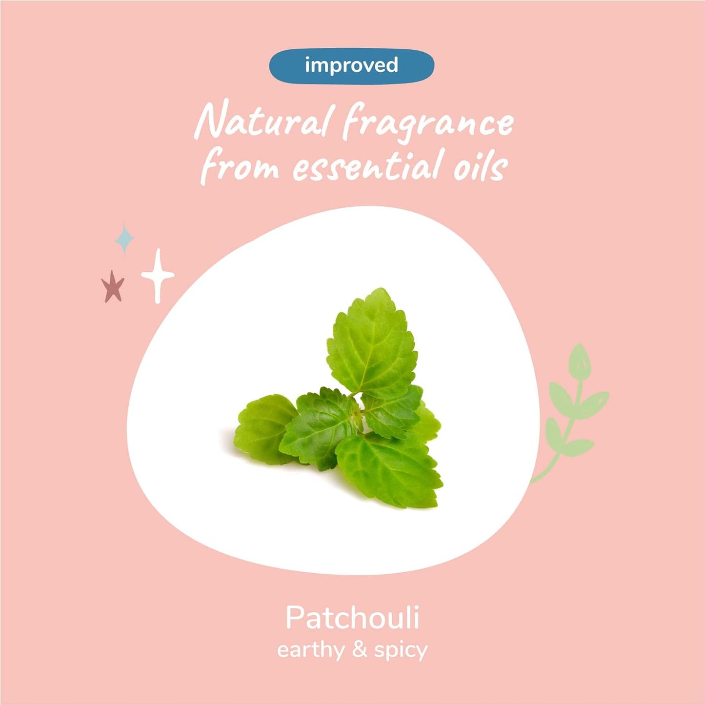 kin+kind Natural Pet Shampoo + Conditioner for Itchy Dogs and Cats - Dog Shampoo for Itchy Skin - Cat & Dog Shampoo and Conditioner with Activated Charcoal & Moisturizing Shea Butter - Made in USA