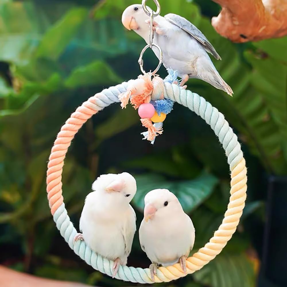 Gradient Colorful Cotton Rope Bird Swing Cage Hanging Toys for Birds Like Parakeets Parrots Cokatiel Budgies Bite Resistance Perch Stand Toys Bird Cage Accessories Perches