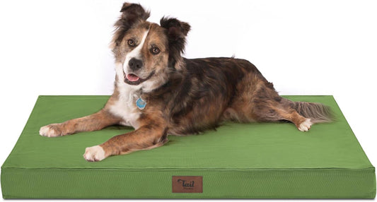 Orthopedic Dog Bed for Large Dogs, Big Waterproof Washable Dog Bed for Large Sized Dogs with Egg Crate Foam Pet Bed Mat, Removable Oxford Cooling Cover, Light Green
