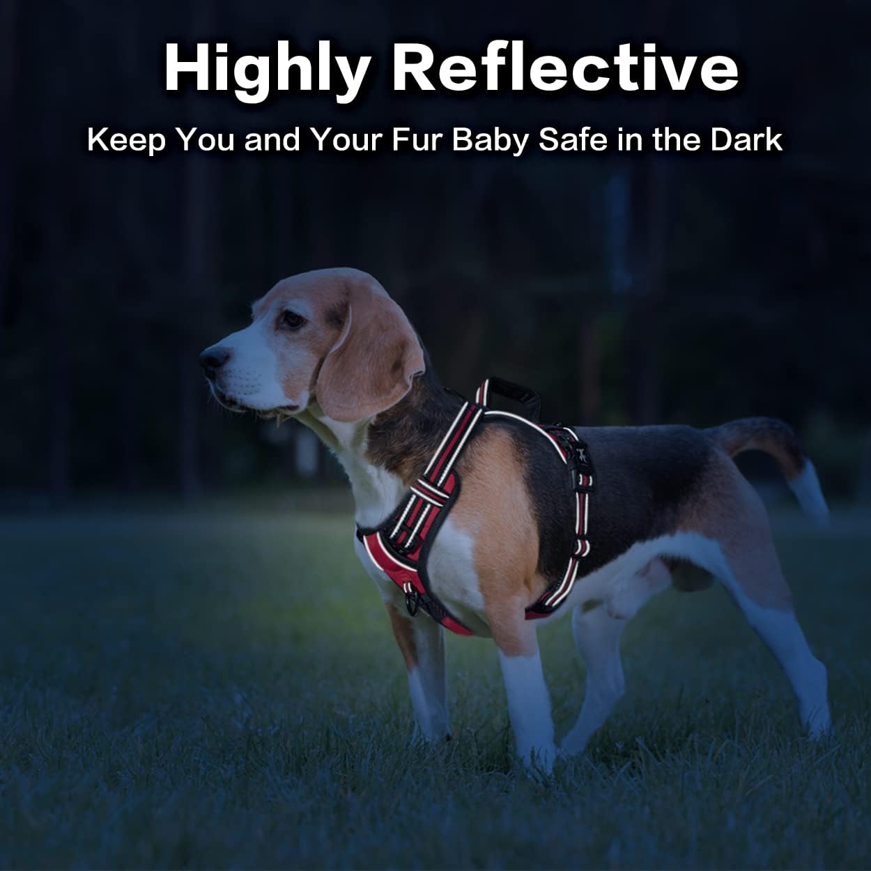 PoyPet No Pull Dog Harness, No Choke Front Clip Reflective Dog Vest with Soft Padded Vertical Handle, 3 Leash Attachments for Small Medium Large Dogs (Red,L)