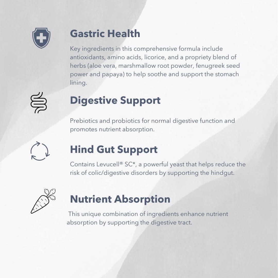 Gastro-Plex (6 lb) Supports Gut Health and Hindgut Digestion in Horses