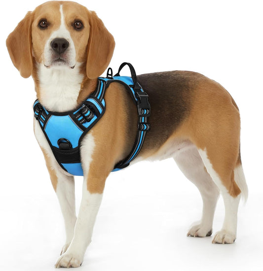 Eagloo Dog Harness Small Sized Dog, No Pull Service Vest with Reflective Strips and Control Handle, Adjustable and Comfortable for Easy Walking, No Choke Pet Harness with 2 Metal Rings, Sky Blue, S