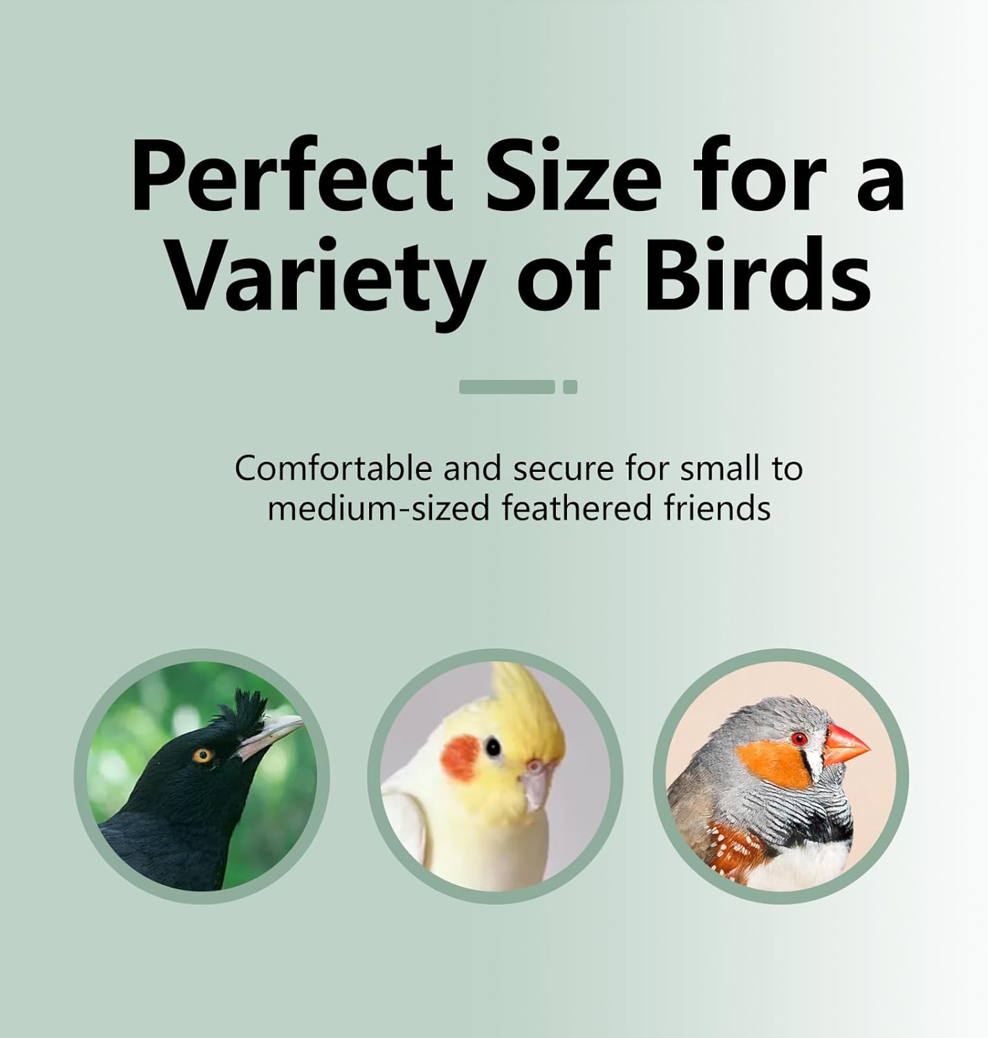 Natural Mineral Bird Perch for Cage Parrot Perch Platform for Beak Grinding Claw Trimming & Chewing Chew Toy for Parakeets Cockatiels Conures Birds Cage Accessories (Gradient Green, 4.7")