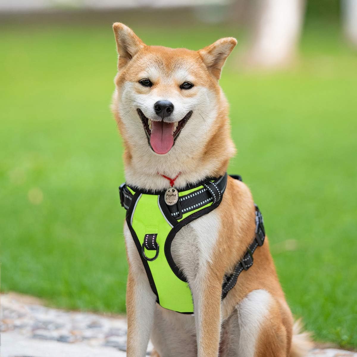 PoyPet No Pull Dog Harness, Reflective Comfortable Vest Harness with Front & Back 2 Leash Attachments and Easy Control Handle Adjustable Soft Padded Pet Vest for Small to Large Dogs (Green,XL)