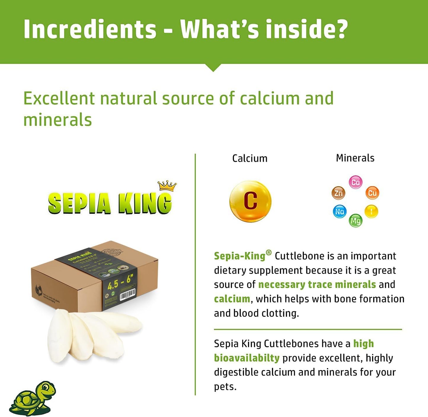 Medium - 100% Natural Calcium Supplement - Premium Cuttlebone Perfect for Birds, Tortoises, Snails, Reptiles - 12 Pack