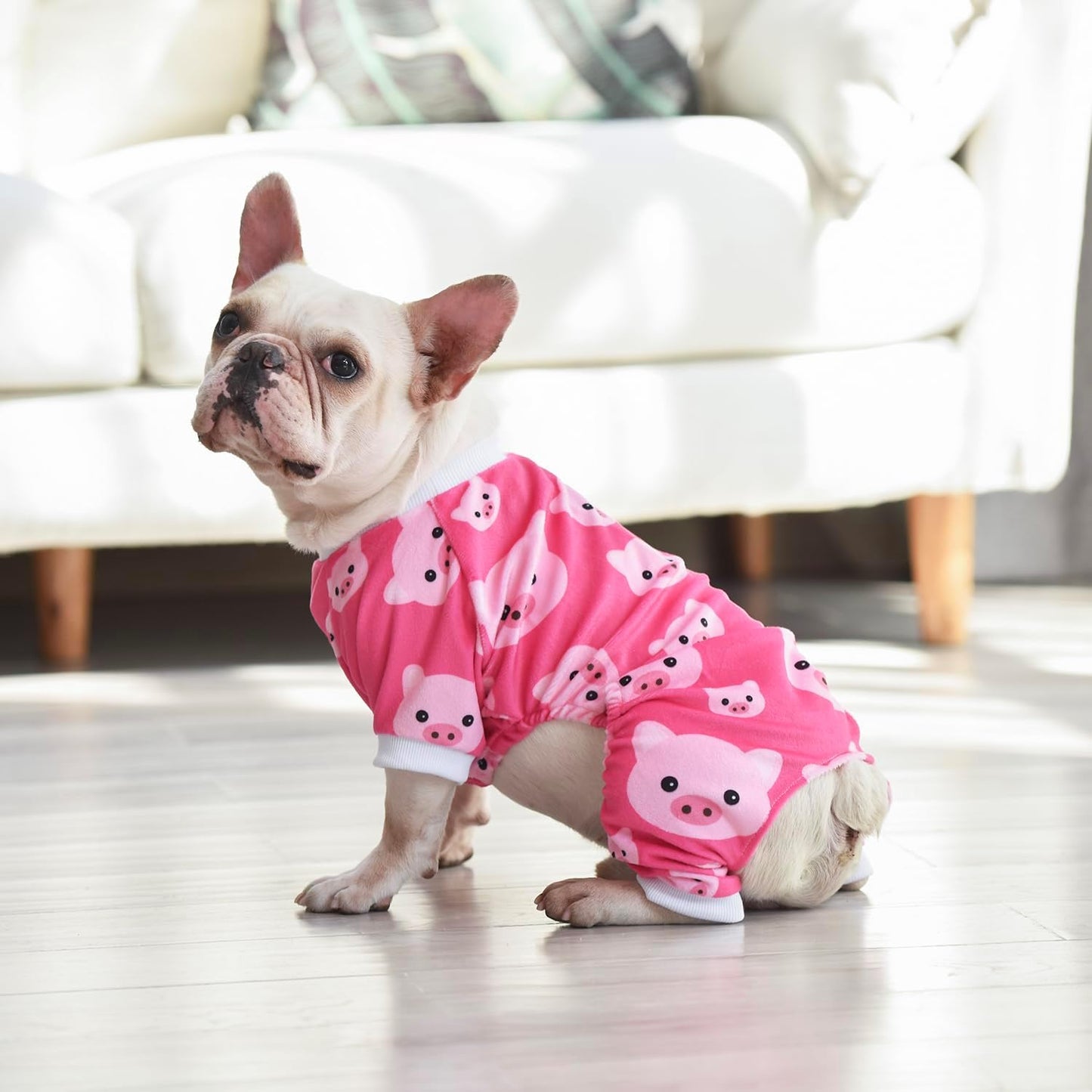 CuteBone Dog Halloween Pajamas Puppy Onesies Small Dogs Soft Pjs Coat Cat Apparel Comfy Pet Christmas Clothes Outfit Doggie Bodysuit P46XS
