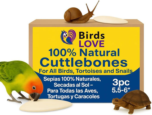 Birds LOVE Natural Cuttlebone | 100% Pure Sun-Dried Calcium Supplement for Birds, Tortoises, Snails & Crabs | Supports Beak & Shell Health | Easy to Chew | 3 Pack, Size 5.5 to 6"