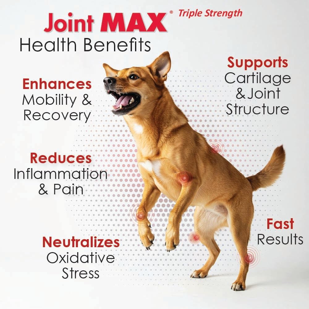 PHS Joint MAX Triple Strength (TS) Soft Chews for Dogs - Glucosamine, Chondroitin, MSM, Turmeric, Omega 3 - Hip and Joint Pain Relief and Support for Dogs - Made in USA - 30 Soft Chews