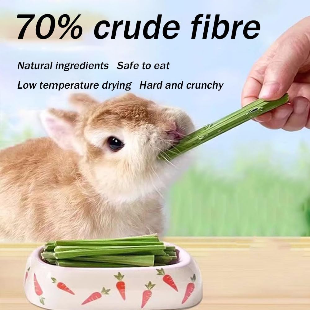 400g 5 Guinea Pig Toys Apple Sticks, Tissimo Grass Sticks, Sweet Bamboo, Papaya Stems, Carrot Sticks Pertain Chinchilla Squirrel Gerbil Hamster Squirrel Guinea Pigs