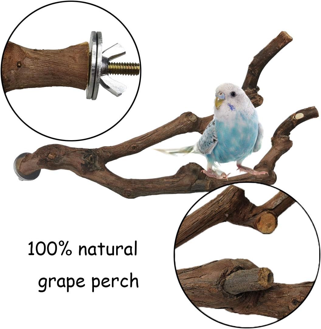 PINVNBY Natural Parrot Perch Bird Stand Pole Wild Grape Stick Paw Grinding Fork Parakeet Climbing Standing Branches Toy Chewable Cage Accessories for Small Lovebirds Budgies Cockatiels 2PCS