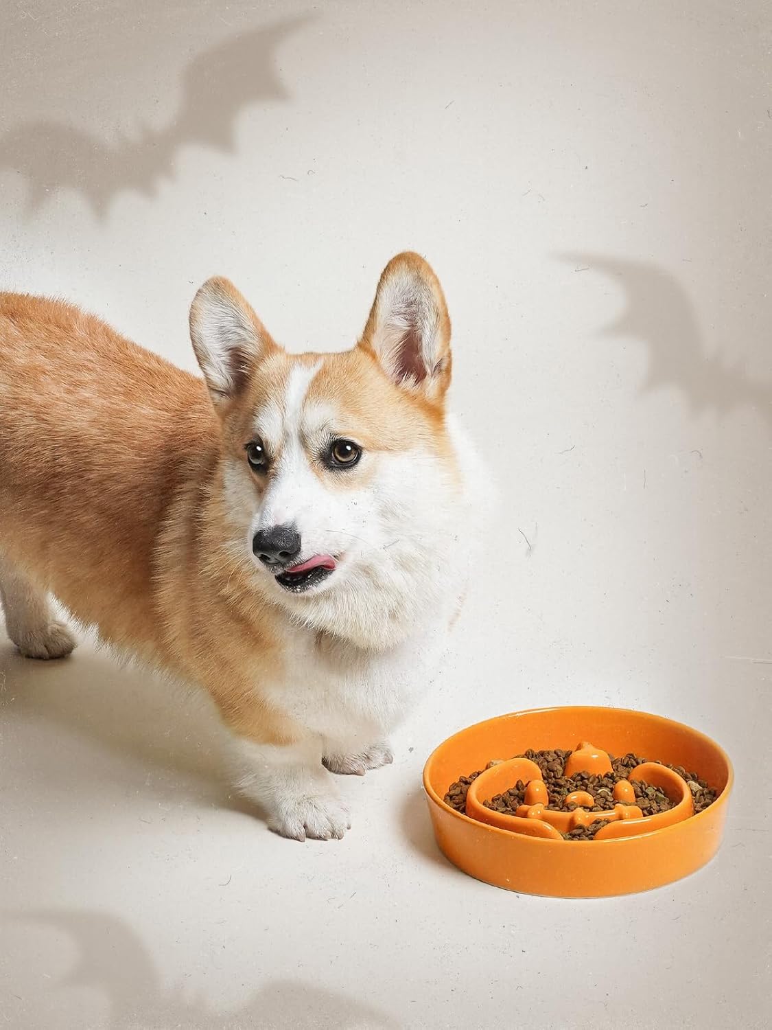 LE TAUCI Ceramic Puzzle Feeder Bowl Raised 1.5 Cup with Wood Stand for Small Medium Dog & Puppy, Fast Eating Food Dish,Pumpkin Orange