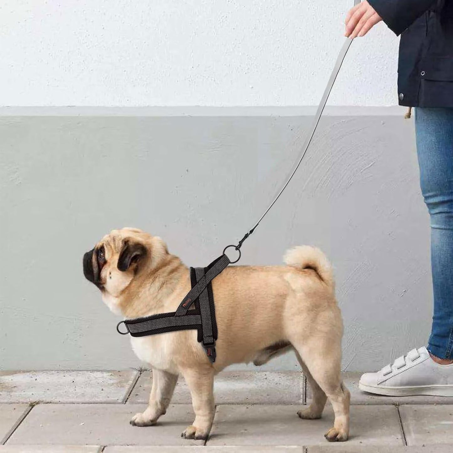 Didog No Pull Dog Harness with Breathable Mesh Padded, Full Reflective & Quick Fit Adjustable Vest Harness, Easy for Training Walking for Small & Medium and Large Dogs (Black, S:Chest 18-22")