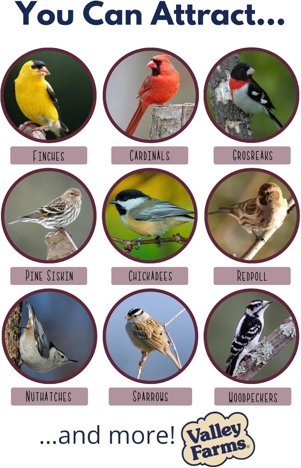 Valley Farms Whole Sunflower Hearts for Birds (15 LB) Clean Shelled Sunflower Seeds, No Mess Wild Bird Seed for Outside Feeders