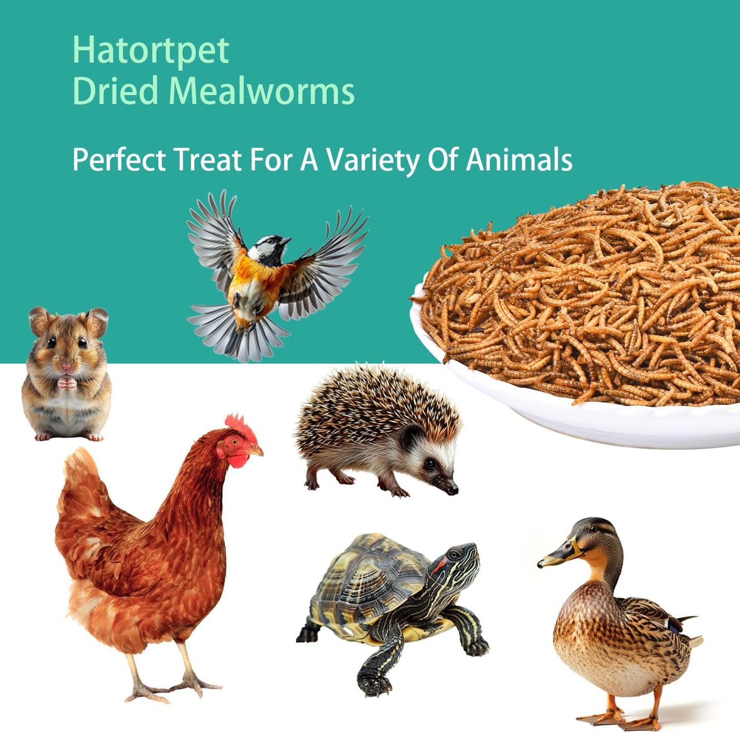 Dried Mealworms 10LB Pure Natural Non-GMO Mealworms for Chickens High Protein Chickens Feed Meal Worms for Laying Hens Wild Birds