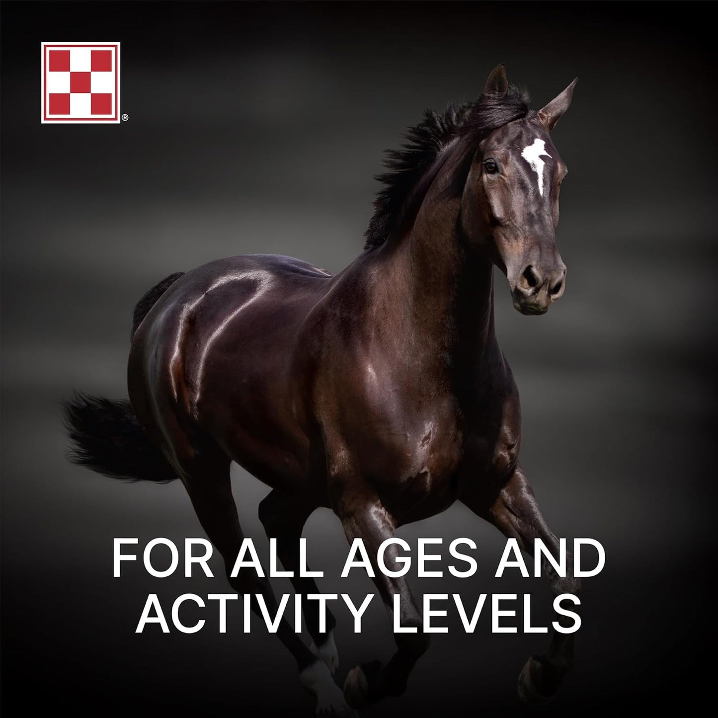 Purina | Amplify High-Fat Horse Supplement (10 LB) Bag