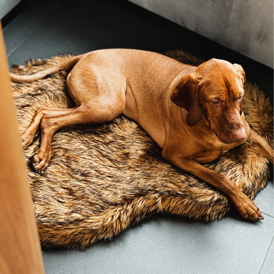 IHAPPYDOG Luxury Faux Fur Orthopedic Dog Bed, Memory Foam Dog Bed for Small, Medium, Large and XL Pets, Fluffy Pet Bed with Waterproof and Washable Cover (Brown, 60"x35")