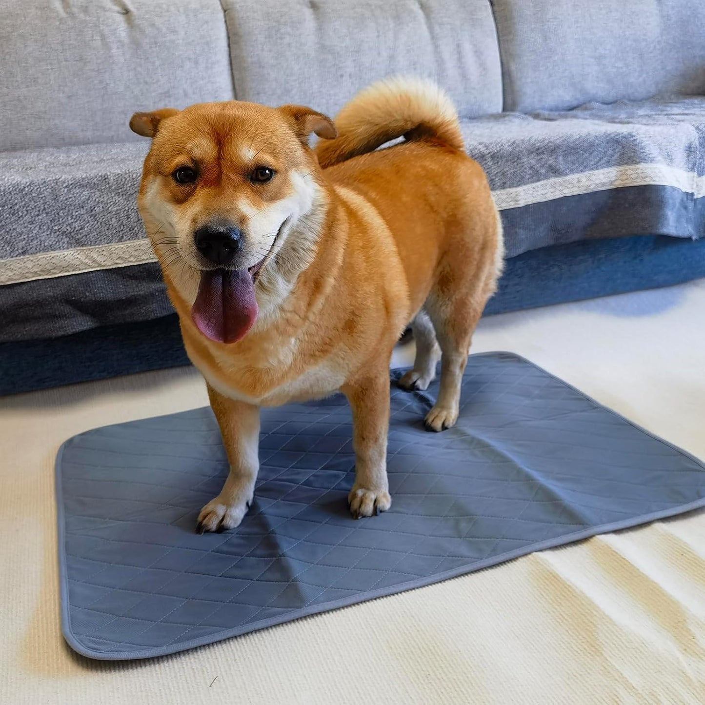 Washable Puppy Pee Pad for Dog Potty Training (Replacement Pee pad)