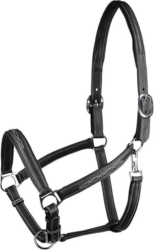 HORZE Warren Soft Adjustable Genuine Leather Horse Halter | Stainless Steel Hardware - Black - Cob