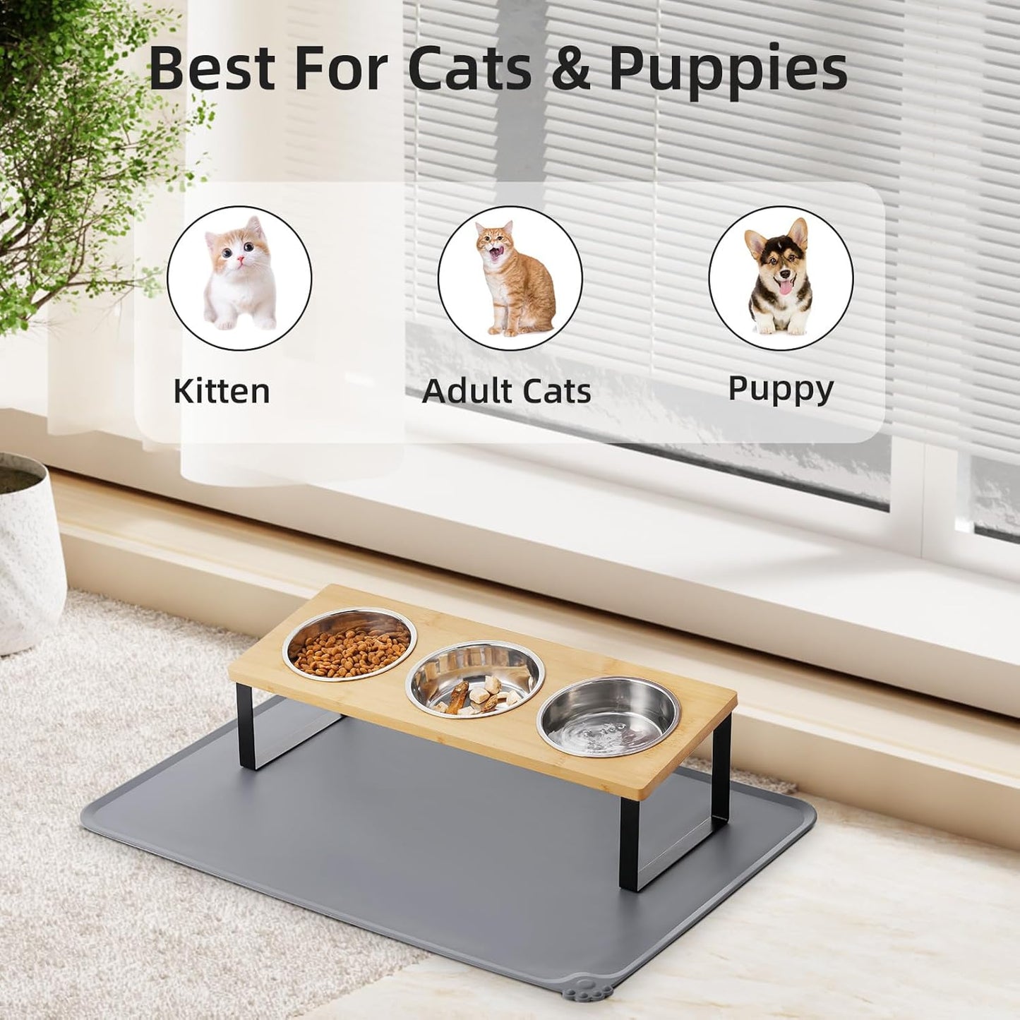 Upgraded Elevated Cat Bowls with Food Mat,15°Tilted Stand Anti Vomiting Raised Cat Dishes for Food and Water,3 Stainless Steel Bowls for Cats and Puppy