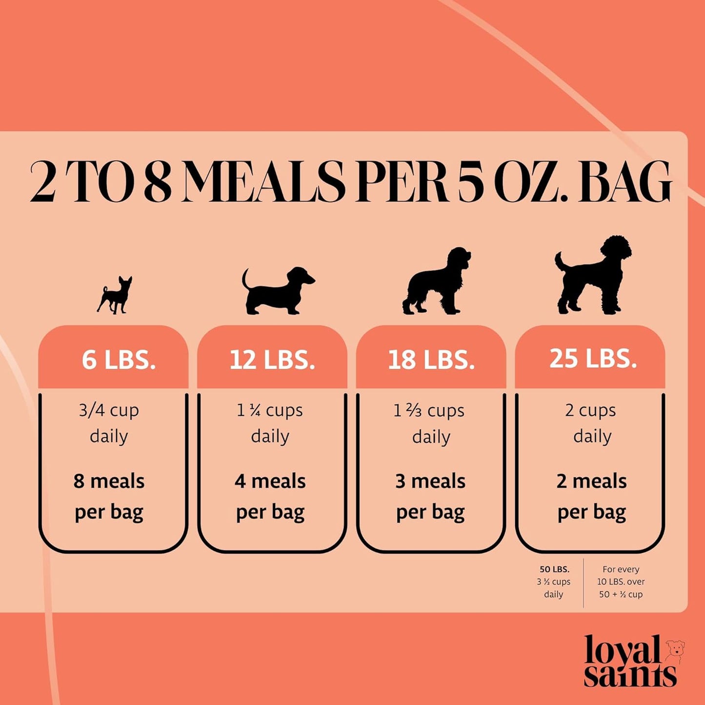 Freeze Dried Raw Dog Food - Premium Turkey and Salmon Flavor with High Protein and Grain Free Dog Food for All Breeds and Picky Eaters - Versatile as Meal Topper, Snack, and Treats, 5 Oz