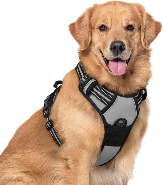rabbitgoo Dog Harness No Pull with 2 Leash Clips, Adjustable Soft Padded, Reflective Oxford No Choke Pet Vest with Easy Control Handle for Large Dogs, Grey, XL