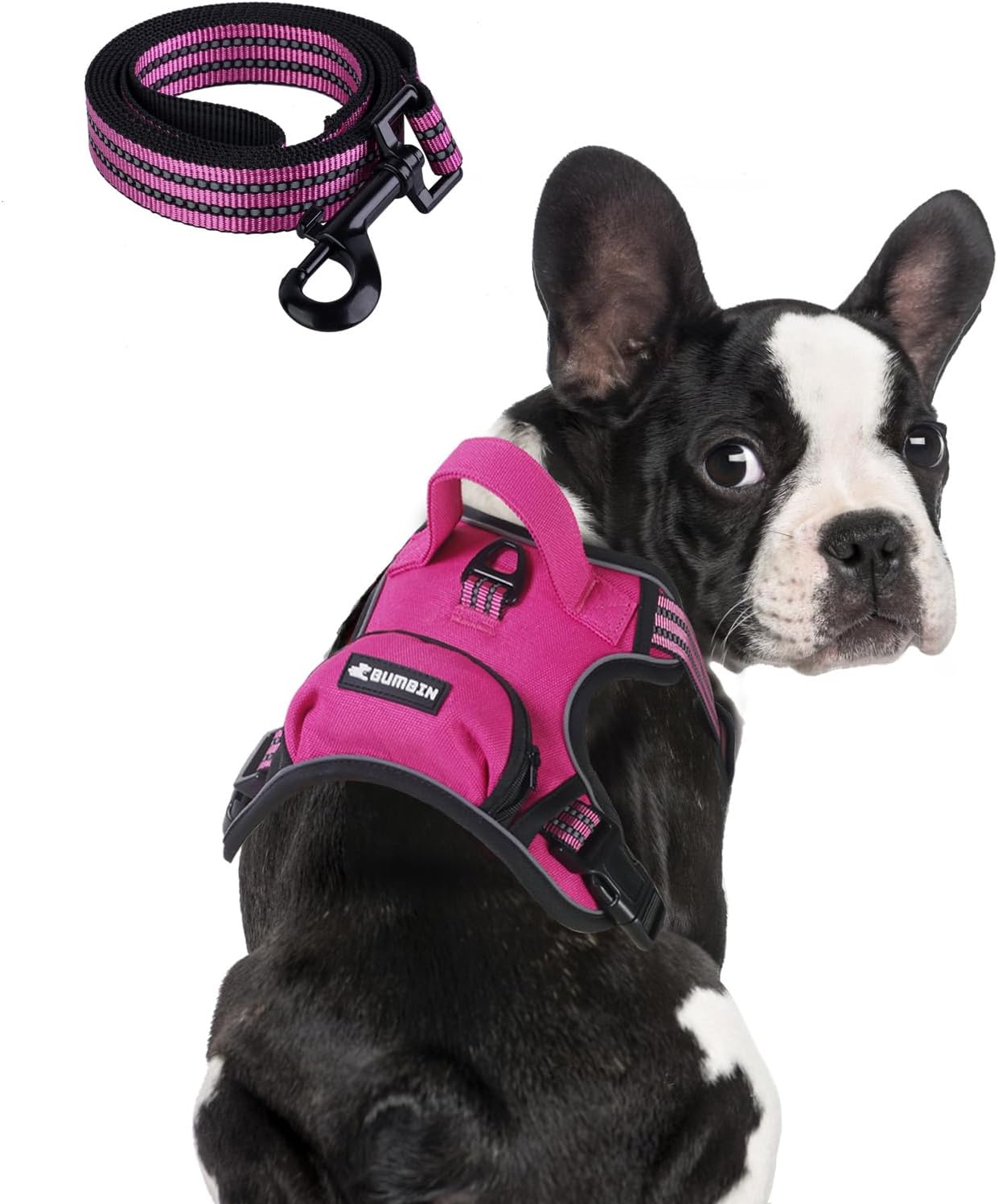 BUMBIN Dog Harness for Large Dogs, No Pull Adjustable No Choke Pet Vest with Dog Leash Fit Smart Reflective Pet Walking Harness for Training Easy Control Soft Handle Rose Red L
