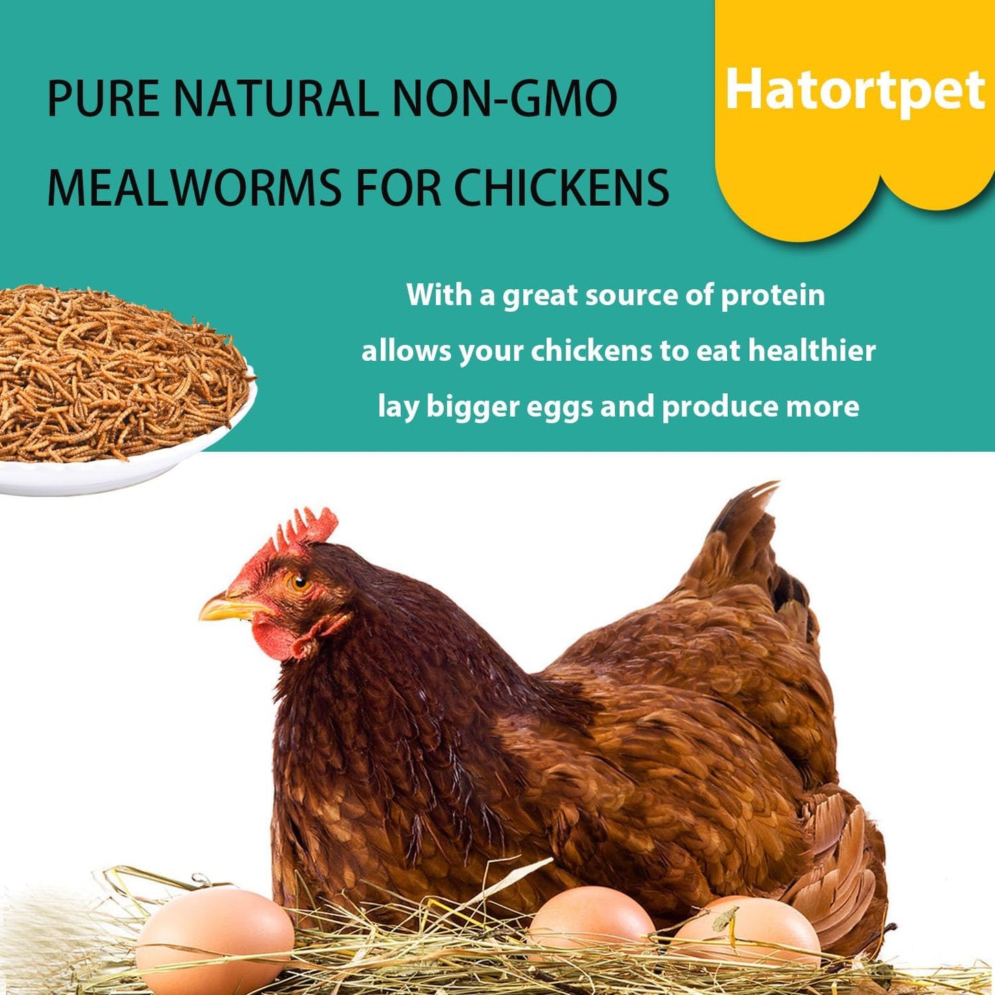 Dried Mealworms 10LB Pure Natural Non-GMO Mealworms for Chickens High Protein Chickens Feed Meal Worms for Laying Hens Wild Birds