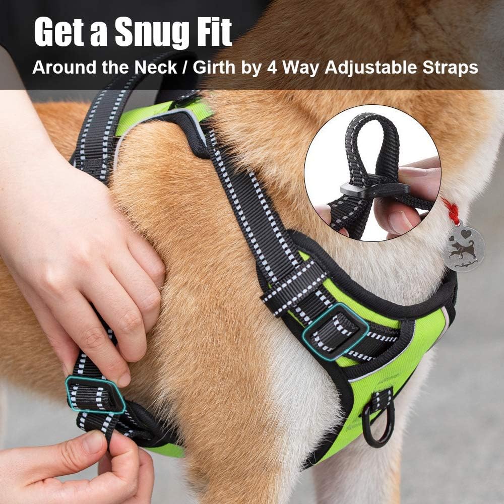 PoyPet No Pull Dog Harness, Reflective Comfortable Vest Harness with Front & Back 2 Leash Attachments and Easy Control Handle Adjustable Soft Padded Pet Vest for Small to Large Dogs (Green,S)