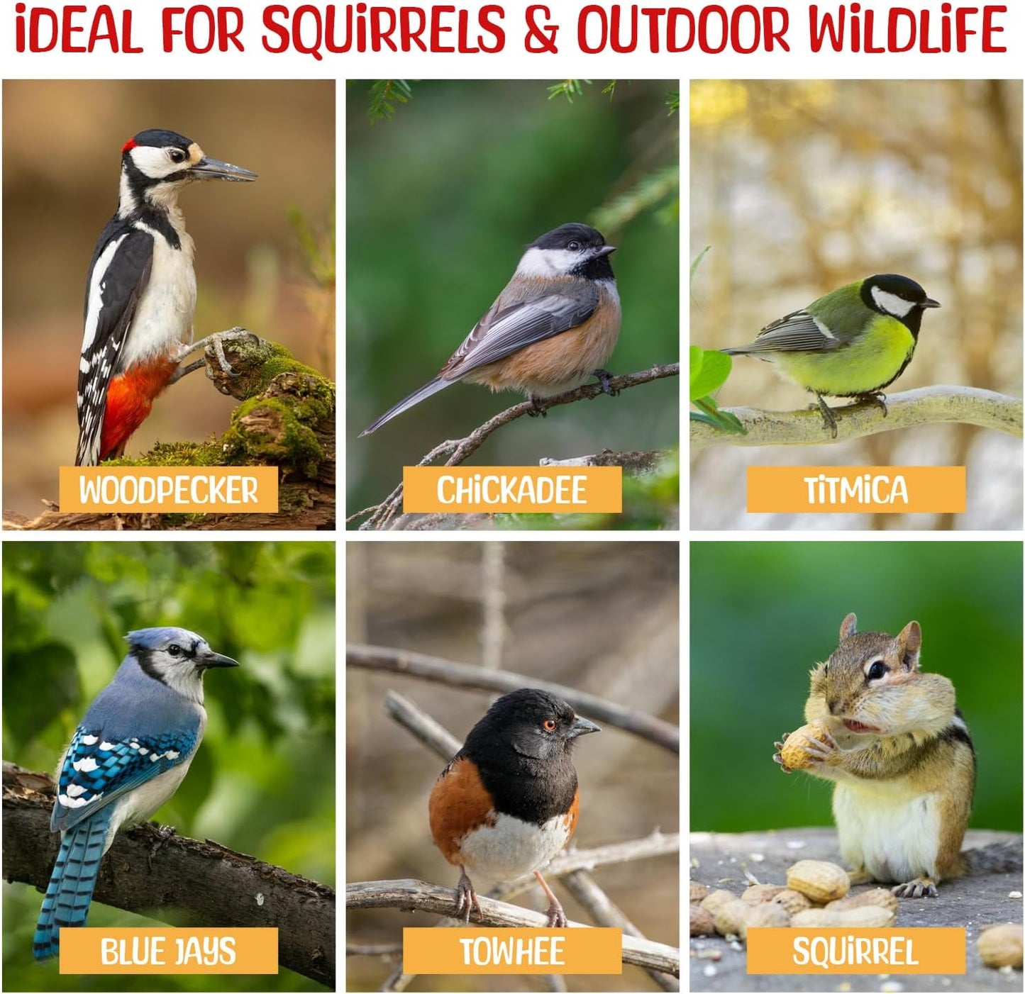 Premium Quality Raw Out of Shell Peanuts - 3 Pound - Shelled Peanuts for Birds – Wildlife Quality - Food for Squirrels, Deer, Birds, and Other Wildlife Animals – Grown in The USA