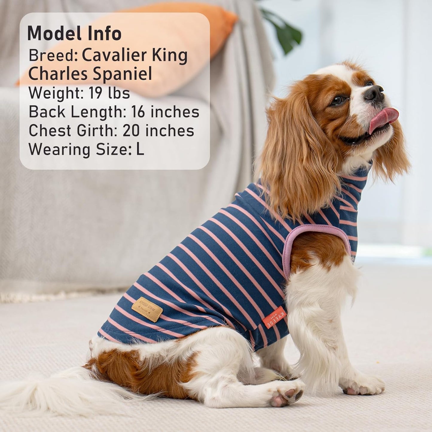 KYEESE 2Pack Dog Sweater Pullover Dog Sweaters for Small Dogs Girl Soft Dogs Clothes Stretchy Pet Sweatshirt Warm Dachshund Clothes Small Pets Sweaters Turtleneck Pet Coats