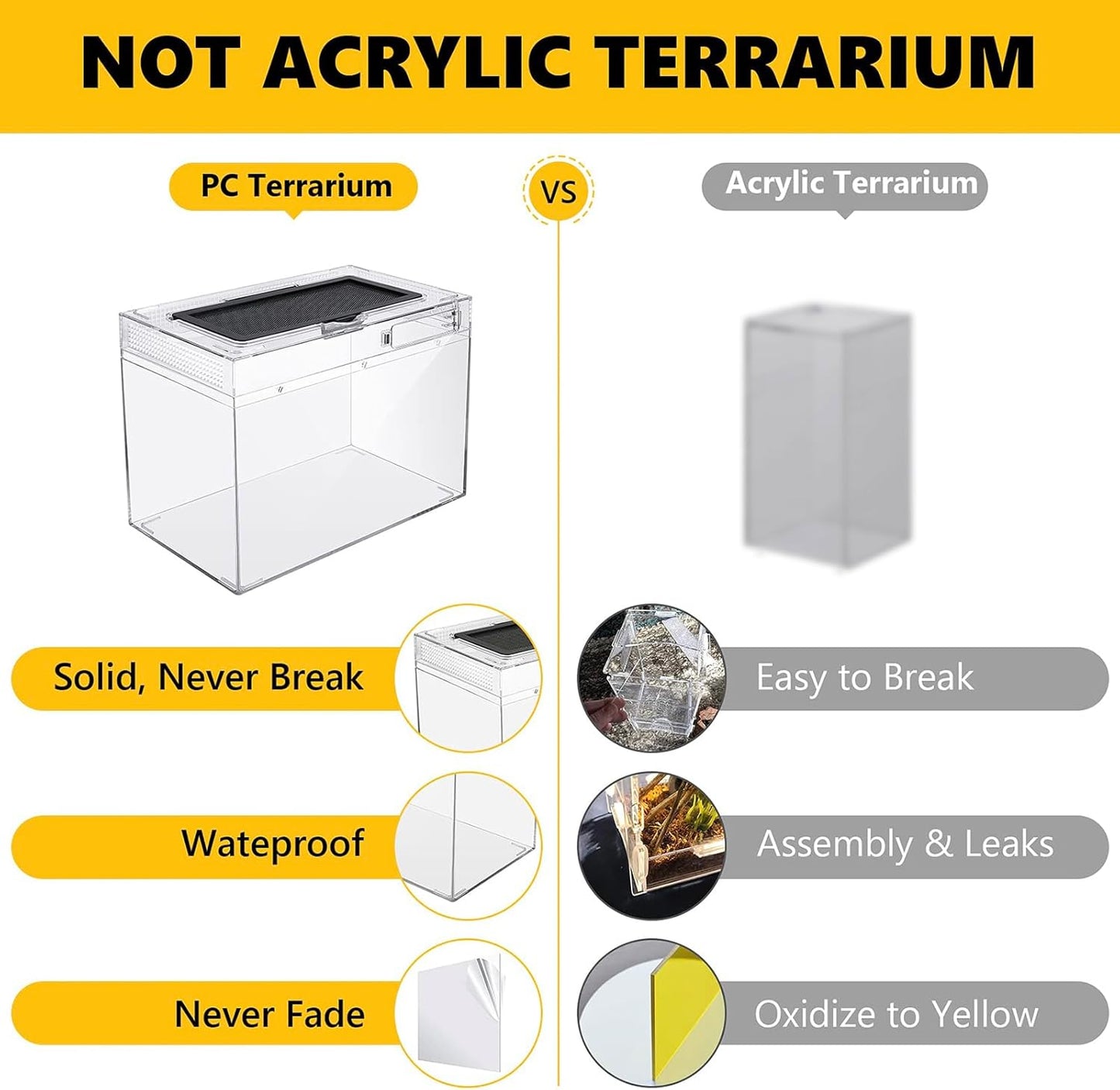 Reptile Terrarium Kit 12" x 7"x 9" Spider Tank Starter Tank, Leopard Gecko Tank, Tarantula Cage Hermit Crab Habitat, Lizard Enclosure, Insect Tank Kit, Jumping Spider Enclosure, Small Isopod Terrarium